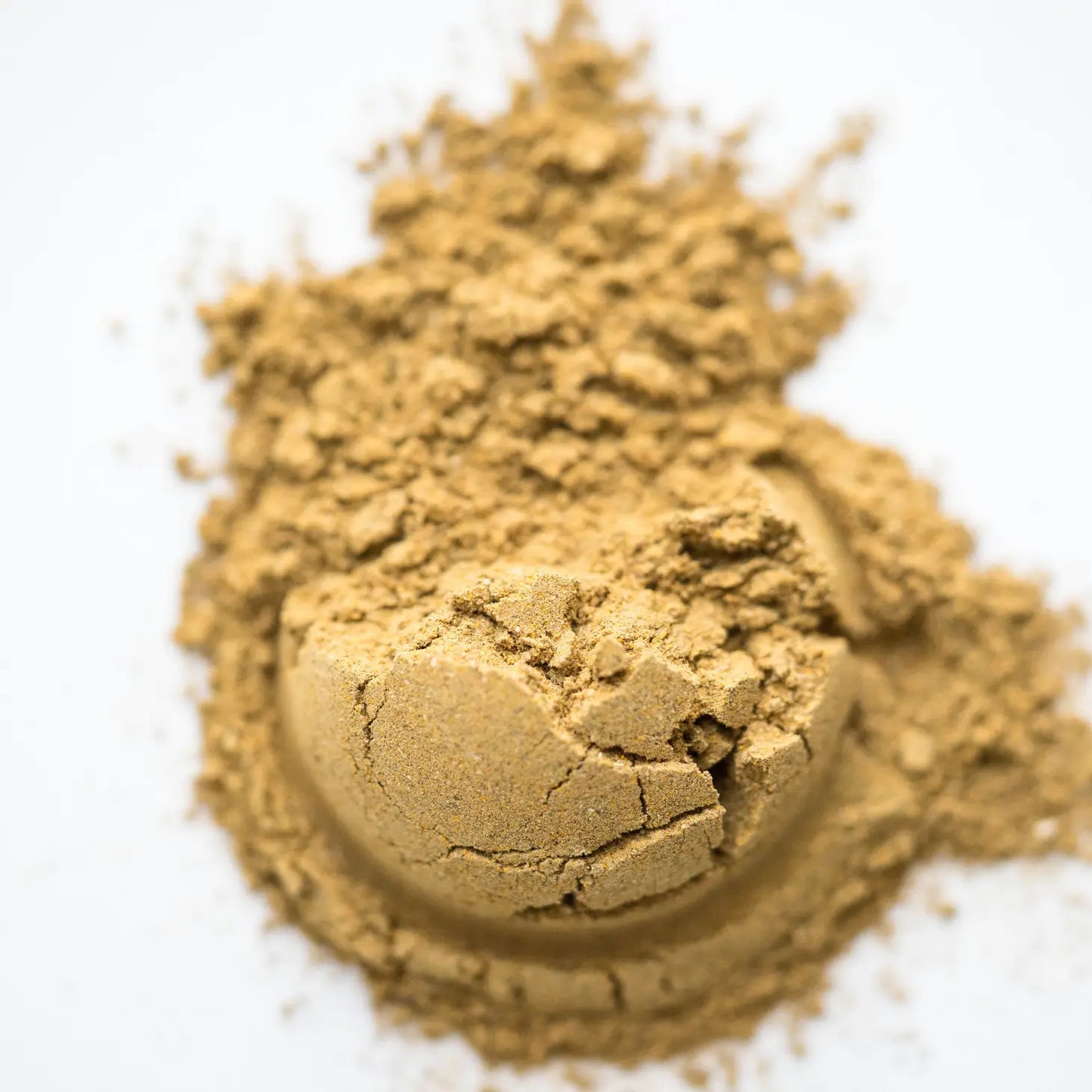 DETOX Plant and Mushroom Adaptogen Powder