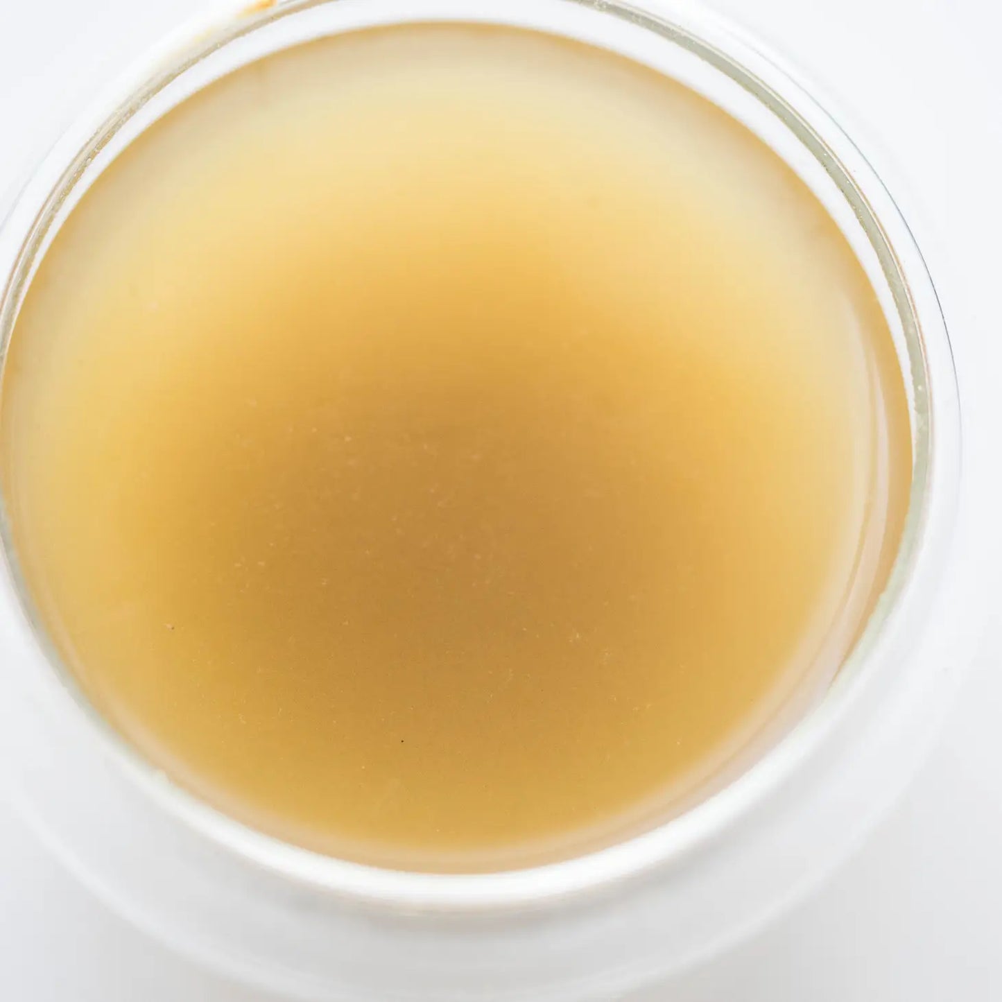 ENERGY Plant and Mushroom Adaptogen Powder