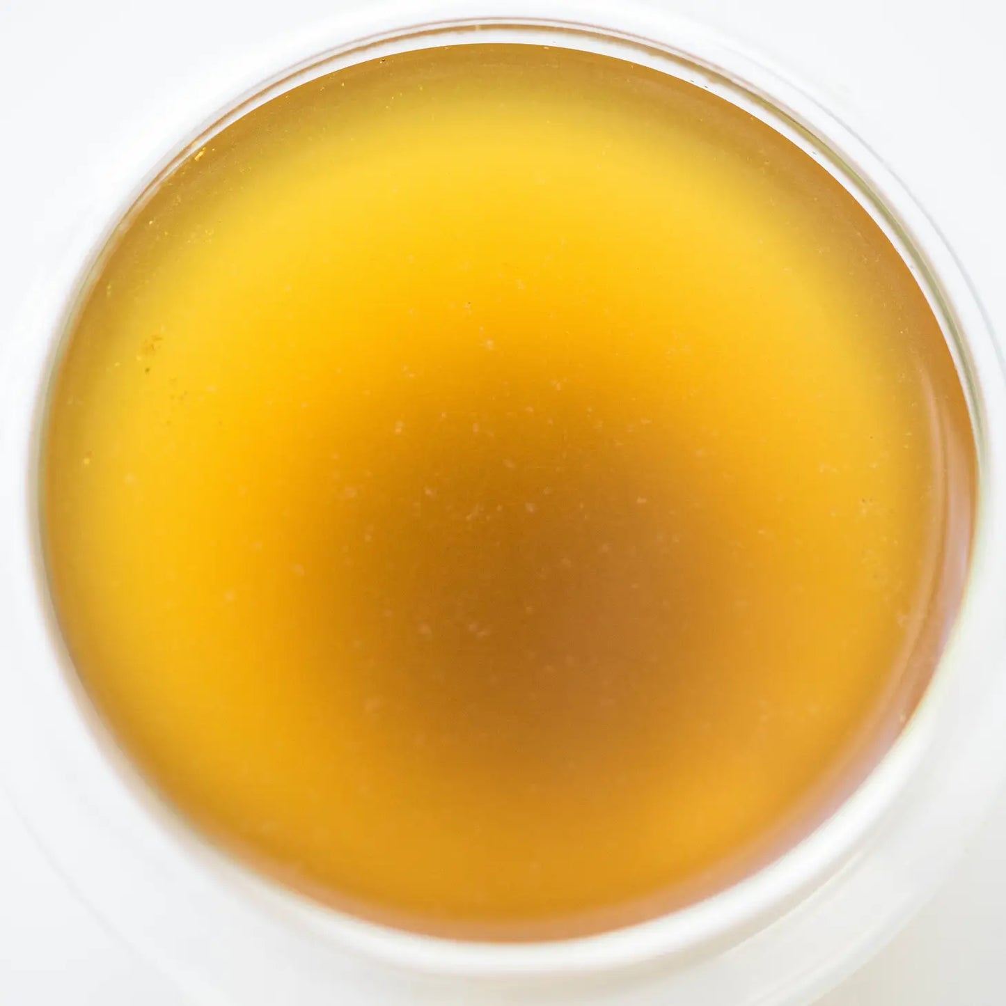 DETOX Plant and Mushroom Adaptogen Powder