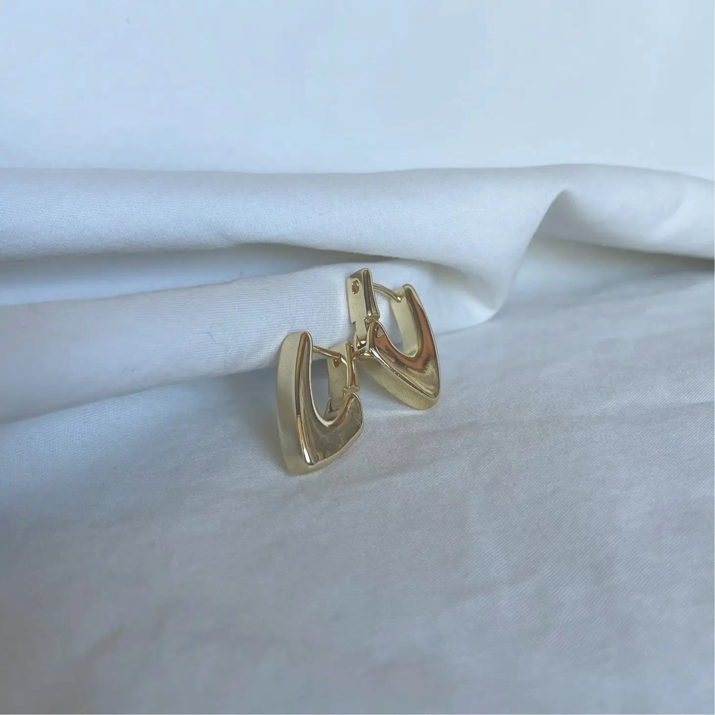 Abstract Modern Hoop Earrings