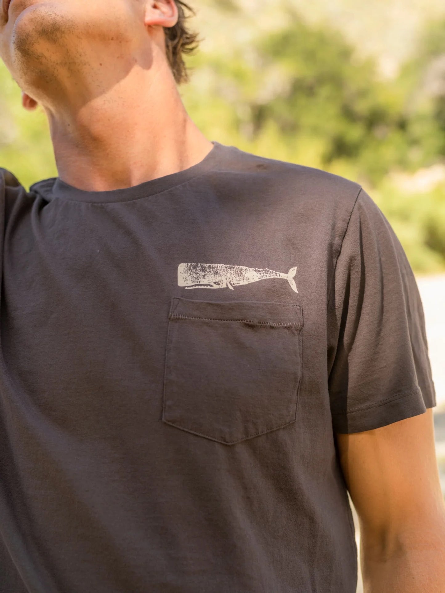 Mollusk tee Olde Whale