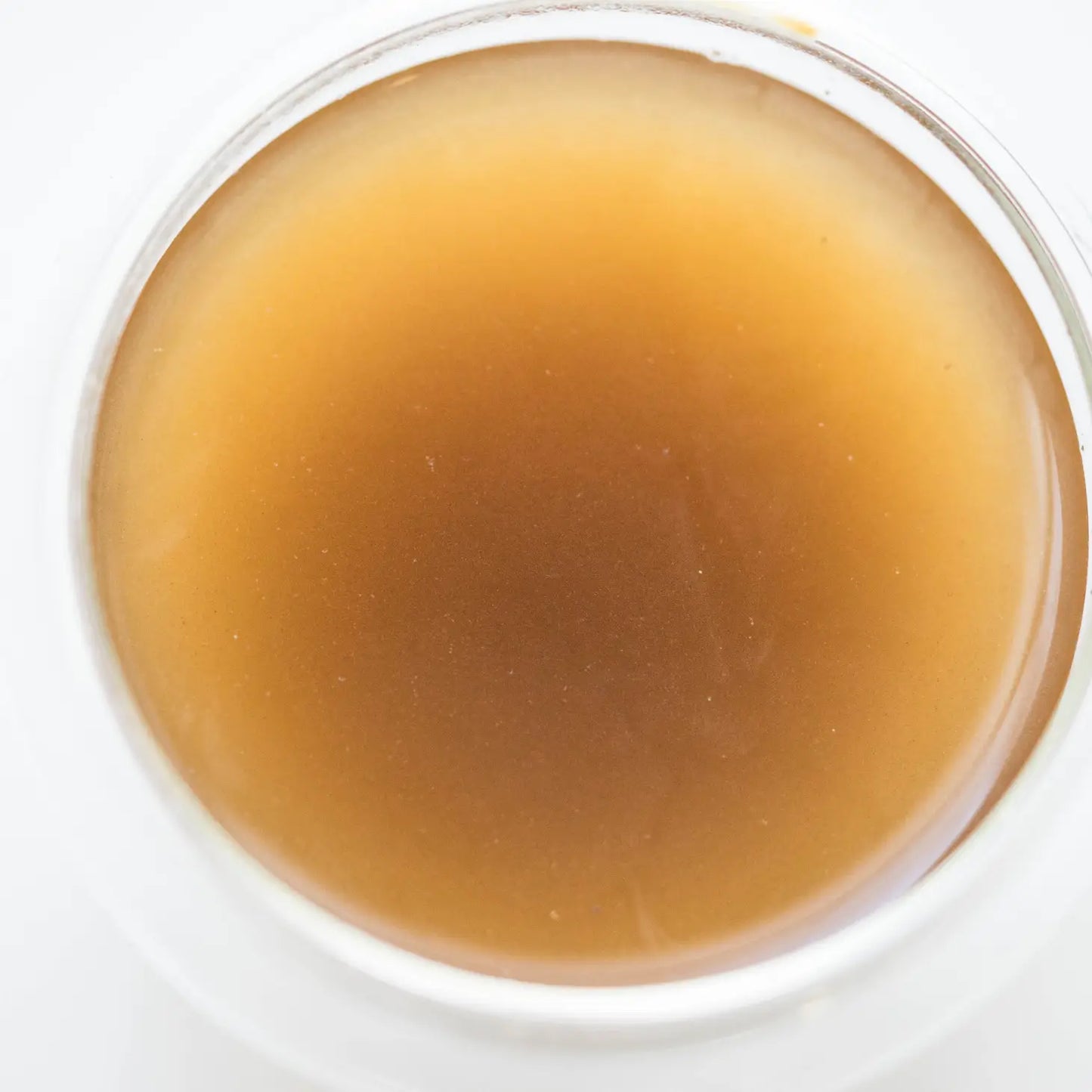 IMMUNE Plant and Mushroom Adaptogen Powder
