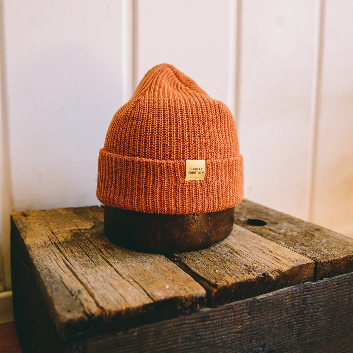 Cotton Watch Cap Beanie -Ochre-
