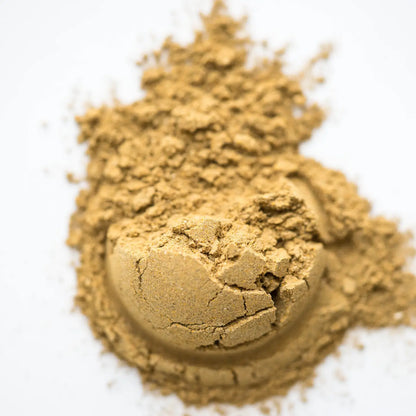 DETOX Plant and Mushroom Adaptogen Powder