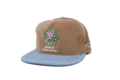 Discover Cap Hat
