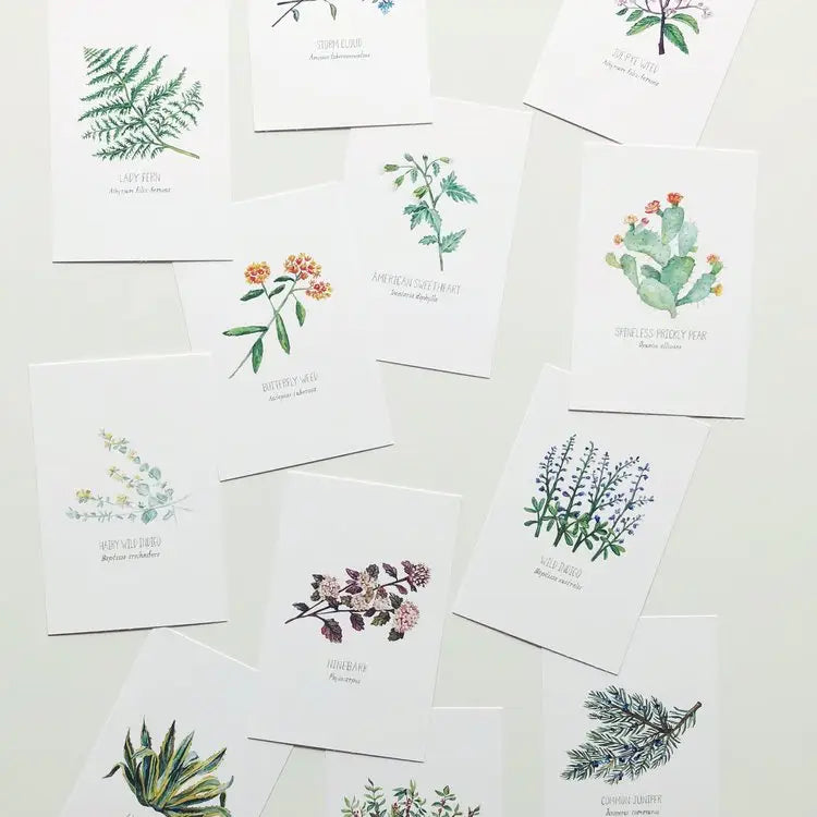 North American Plants Postcards Set of 12