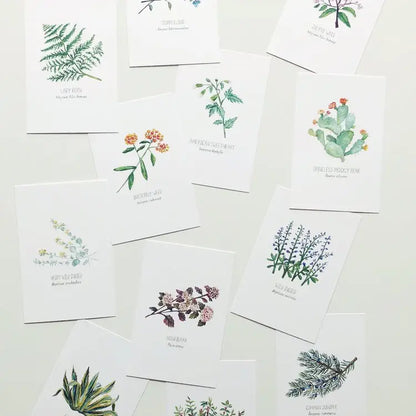 North American Plants Postcards Set of 12