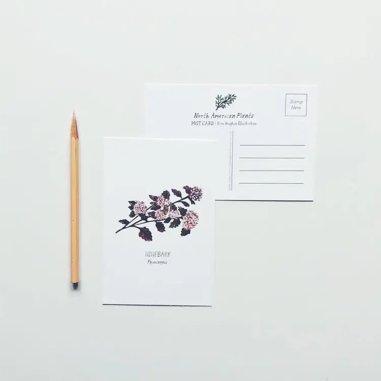 North American Plants Postcards Set of 12