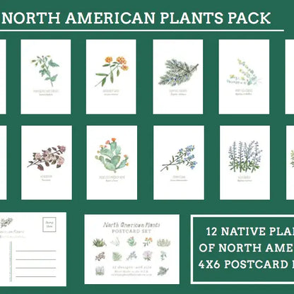 North American Plants Postcards Set of 12