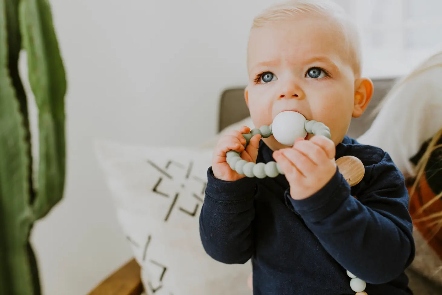 Baby Teether Rattle Toy (Blush, Sage)